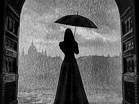 占卜你内心的凶残程度