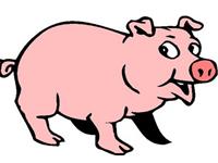 麦玲玲2017年生肖猪运势