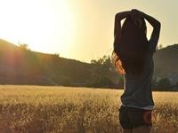 郑博士2017年属虎的运势