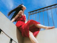 熊神进2017年鸡年马生肖运程