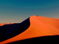 佩妮2017年星座运势巨蟹座