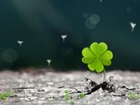 玛法达2017年天蝎座运势