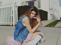 熊神进2017年鸡年狗生肖运程