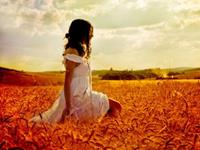 白羊座的软肋和铠甲是什么