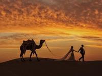 测你能过上轻奢的生活吗