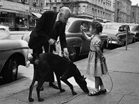 占卜为了生活你失去了什么