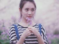 2017生肖鸡要注意的情感问题