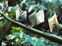 春节期间财运大好的生肖