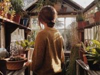 占卜你憧憬怎样的生活