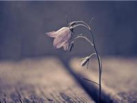 金牛座的心疼谁能懂