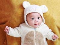 鸡年出生的宝宝最旺什么生肖的父母