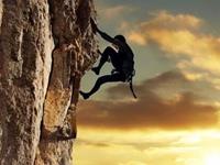 付出的努力与回报成正比的生肖