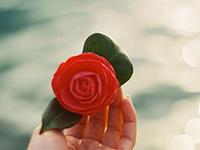 玛法达一周星座运势：水瓶座