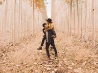 紫微命盘主星看你适合闪婚吗