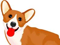 男属狗的和什么属相最配，属狗的和什么属相最配