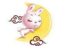 生肖兔到底是真傻还是装傻