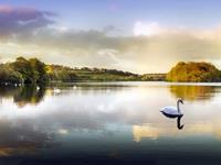 水瓶座为什么被黑，黑水瓶座