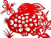 2011年是什么生肖年，2011年属什么生肖