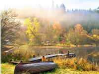 泓翔老师2017年3月十二生肖运势