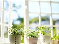 双子座勤劳指数