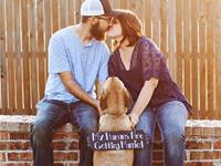 占卜你会为家庭付出多少