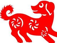 生肖狗遇到小偷会有什么反应