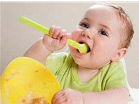 哪些生肖的孩子天生机灵聪明