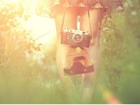 Miss A Tarot心灵塔罗周运（3.20-3.26）