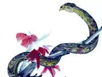 属蛇的三合生肖，属蛇的三合属相