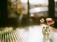 水蓝色眼泪2017年4月白羊座运势