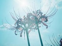 金牛座遇到难搞定的事会怎么办