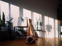 占卜你最近的感情压力有多少