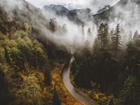 清明节扫墓有哪些习俗与禁忌