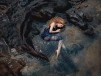 占卜你的性格最像哪种动物