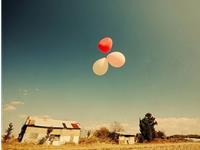 双子座放人鸽子的指数有多高