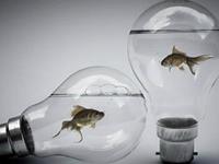 A微日记2017年4月处女座运势