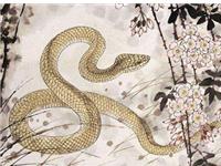 泓翔2017年4月生肖蛇理发运势