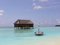 若为自由故，生命爱情都可抛的星座