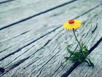 没那么简单！说了对不起也不一定会原谅你的星座