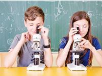 生肖猴最擅长的科目