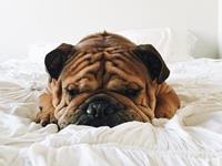 占卜让你觉得心累的原因是什么