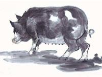 1995年属猪2017年本命佛