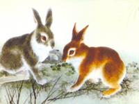 1999年属兔2017年本命佛