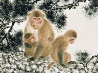 2004年属猴2017年本命佛