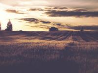 十二星座，谁最无情无义