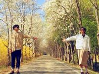 说分手不过是想被挽留的星座