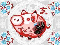 生肖猪不为人知的坏习惯