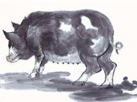 生肖猪忘记一个人要多久