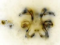 柒爸2017年5月双子座运势