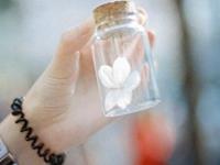 水蓝色眼泪2017年5月白羊座运势